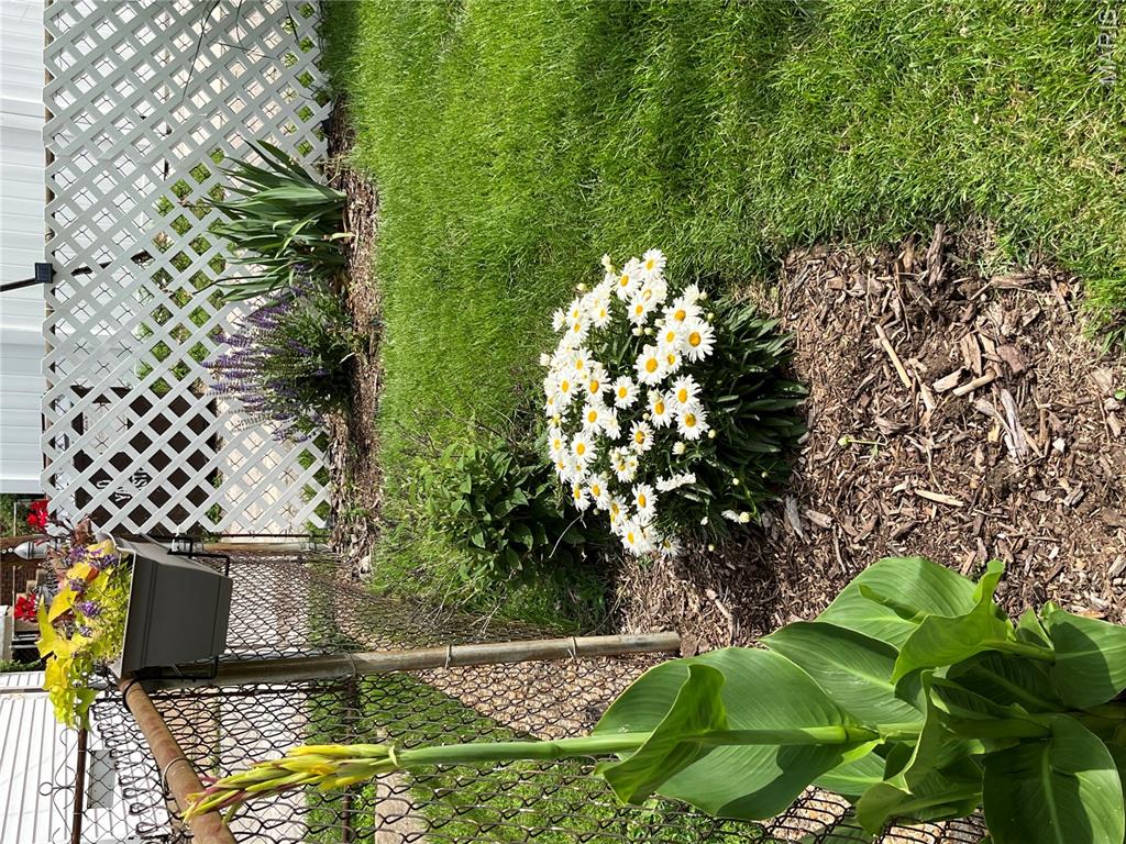 First slide