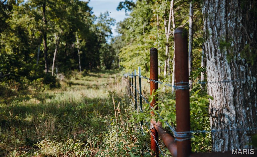 First slide