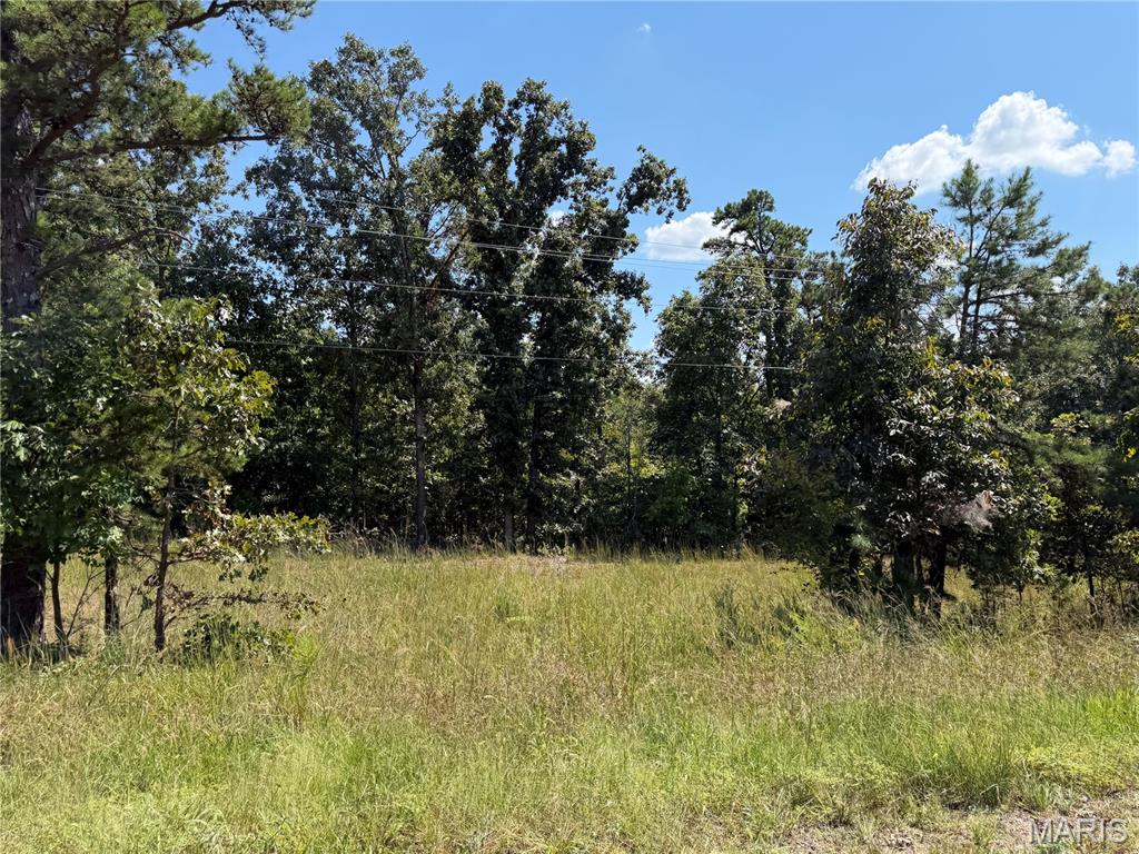 First slide